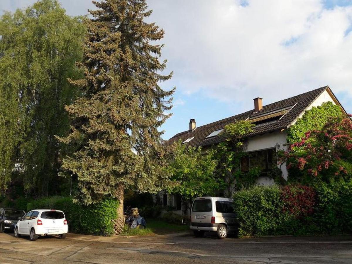 Haus Zur Bienenweide Apartment Schoemberg  Exterior photo