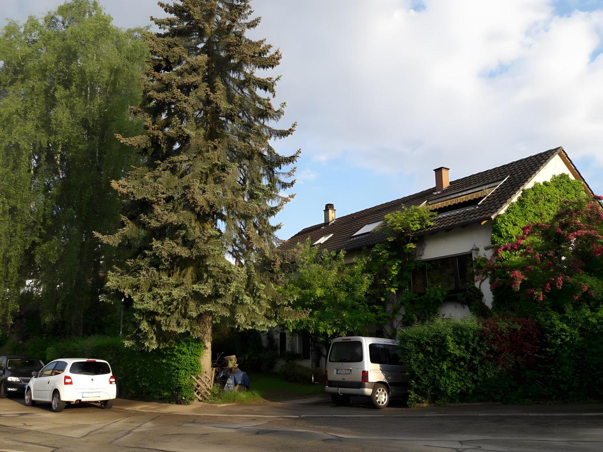 Haus Zur Bienenweide Apartment Schoemberg  Exterior photo